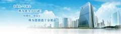 合肥法定代表人的法律責任和風險？